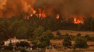 Jun 13, 2021 · νότια εύβοια: Fwtia Sthn Eyboia Nea Anazwpyrwsh Stis Robies Maxh Gia Na Mhn Perasoyn Oi Floges Sto Kanthli