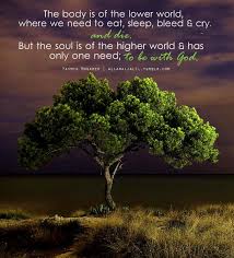 Body Soul Islam Islamic Quotes Allah
