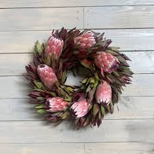 Image result for Protea rupestris