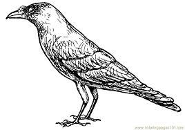 Black Crow Colouring Pages With Images Coloring Pages Black Crow Color