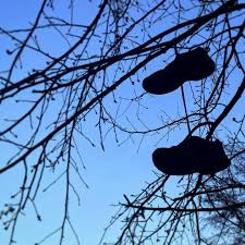 Gaupeler Kulturgarten Der Himmel Uber Gaupel Manche Gaste Hinterlassen Spuren Ein Shoefitti In Meinem Geheimen In 2020 Geheimer Garten Gartenparadies Weidenbaum