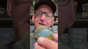 Watch Most Underrated Bass Lure Ever Video