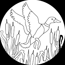 Wood duck coloring page a popular ncma sculpture by allen bertoldi, wood duck with its mirrored reflection appears to float in a pond located in the field behind the mansion. Printable Duck Coloring Pages Coloring Home