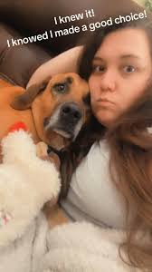 Bloodhound Dog and Girls