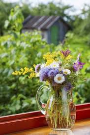Maybe you would like to learn more about one of these? Preservatives For Cut Flowers Tips For Feeding Fresh Cut Flowers