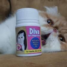 Menebar aroma yang tak disukai kucing. Vitamin Bulu Gugur Gemukkan Kucing Cat Kucing Vitamin Powder Shopee Malaysia