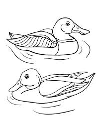 Keep your kids busy doing something fun and creative by printing out free coloring pages. Free Duck Coloring Page Coloring Pages Free Coloring Pages Free Coloring