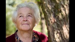 Meet the 2017-2018 Youth Advisory Board for the Great Waters Challenge!