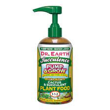 Cacti are succulents are easy care plants for any home or patio. Succulence Cactus Succulent Pump Grow Plant Food Dr Earth