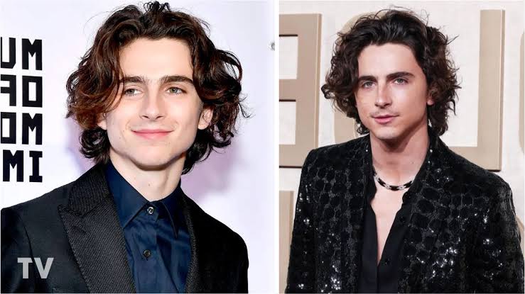 Timothée Chalamet (a.k.a. Timothy Shalloway): Facts, Films, Fame & More |  Net Worth TV