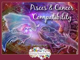 Pisces And Cancer Compatibility Friendship Sex Love