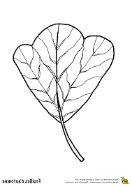 epingle sur coloration imprimable coloriage animaux