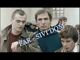 Septembra 1985 godine, kada je grupa klinaca iz doma za sirocad izasla na ulice beograda i rusila sve pred sobom.tako je nastala prica o mladima koji ne mogu da se uklope u sistem koji se rusi kao kula od karata, i koji njima ne pruza nikakve mogucnosti.serija nije stekla neki bolji status, jer je prikazana tek posle prvog verskog rata, 1992 godine.serija je poznata i po. Dimic Ratkovo Zaboravljeni I Sivi Dom