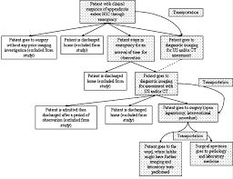 Flow Chart Of The Typical Pathway Of A Patient With