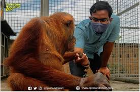 Check spelling or type a new query. Wisata Baru Central Park Zoo And Resort Di Pancur Batu Medan Wisata Travel Blogger Indonesia From Medan
