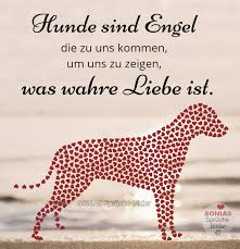 Ein mädchen, das ihm als die pure liebe unschuld ? 100 Pure Liebe Sonias Spruche Bilder Facebook