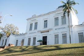 2020 top things to do in sao paulo. Butantan Institute Sao Free Photo On Pixabay