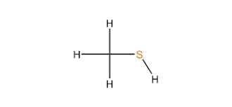 Image result for Methanethiol