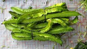 Simpan ke bagian favorit tersimpan di bagian favorit. Cara Tanam Kacang Botol Yang Betul Root Of Science