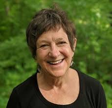 The Misuse of Alienation in Domestic Violence Cases in Family Court:  Helping Court-Related Professionals to Sort Through Conflicting Allegations 
