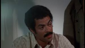 DAARAC's Archive: Policewomen (1974)