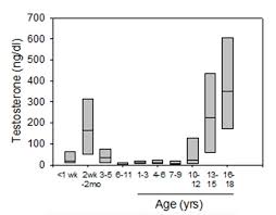 King barry, roger king, barry king, robbins king, bess king. Laboratory Assessment Of Testicular Function Endotext Ncbi Bookshelf