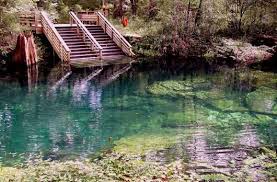 Pin By Alexandra Mendoza On I Ll Take The Stairs Florida Springs Florida Travel Florida Vacation