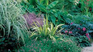 There is a wide variety of cacti to choose from if you want to grow this type of plant. Designing With Spiky Plants Finegardening