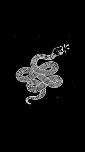 Black And White Wallpaper Aesthetic Pc Pin By Birdie On Cosas Snake Wallpaper Aesthetic Wallpapers Iphone Wallpaper
