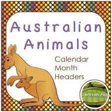 Australian Animals Calendar Months Headers Australian