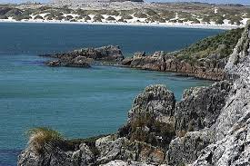 Buscador de oficinas de turismo y puntos de información turística. Islas Remotas Iv Islas Malvinas South Sandwich Islands Falkland Islands Island