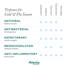 terpenes for cold flu season hempsley