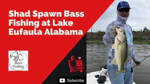 Shad Spawn Bass Fishing At Lake Eufaula Alabama Lake Eufaula Bass Fishing Bass Fishing Videos