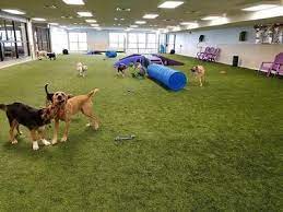 Enclosed dog parks near me. Best Indoor Dog Parks In The United States