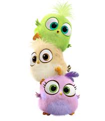 Crazy Bird From Finding Dory Hatchlings Movie Angry Bird Rio Bad Piggies Cartoon Wallpaper Iphone Cartoon Wallpaper Angry Birds Movie