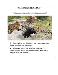 We did not find results for: Sains Tahun 5 Kssr Flip Ebook Pages 1 10 Anyflip Anyflip
