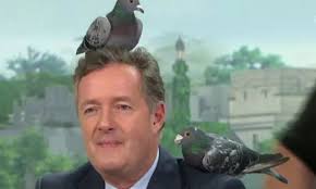 Piers Morgan quick to deny claims he is Pigeon Lady from Home Alone