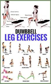 Leg Workout Gym Machines Top 5 Dumbbell Exercises For A Leg Destroying Workout Gymguider In 2020 Dumbbell Leg Workout Leg Workouts Gym Lower Body Workout