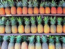 Ananas Pineapple Gradient Fruit Ananas Fruits Et Legumes Fruits Exotiques