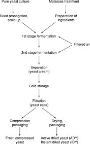 Batch Fermentation An Overview Sciencedirect Topics