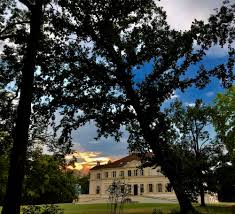 Domeniul regal include şi un parc în care se găsesc specii rare de arbori. Imagini Inedite Din Parcul Castelului Regal De La SÄvarsin Galerie Foto Europa Fm