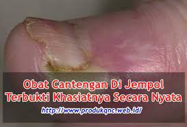Pin Di Herbal