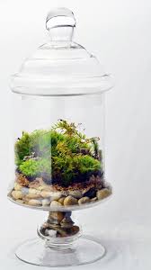 Apothecary Jar Terrarium Moss Deer Home Door Pinkserissa Apothekers Potten Terrarium Mos Terrarium