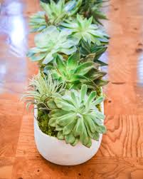 Home Furnishings Interior Design Lighting Antiques Dallas Succulent Centerpiece Dining Room Dining Room Table Centerpieces Dinning Room Centerpieces