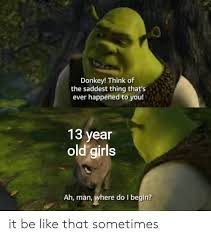 Donkey Think Of The Saddest Thing That S Ever Happened To You 13 Year Old Girls Ah Man Where Do I Begin It Be Like That Sometimes Be Like Meme On Me Me