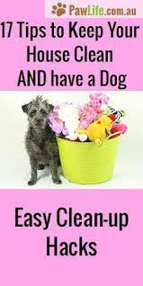 It S Easy To Keep Your Home Clean And Fresh While Having A Dog Inside With My 17 Tips To Keep Your House Clean And Have Dog Cleaning Clean House Cleaning Hacks