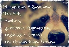 Bildergalerie Arrogante Spruche Fur Selbstverliebte Freeware De Bild 24