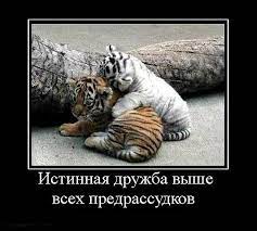 День дружбы 30 июля. Факты о празднике, поздравления с Днем дружбы