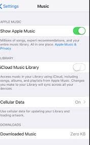 Iphone Xr How Do I Turn Off The Icloud Apple Community
