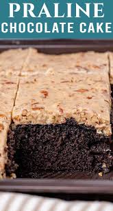 This Chocolate Praline Cake Is A Deliciously Moist Chocolate Cake Topped With A Praline Frosting That You Wil Yummy Cakes Praline Cake Chocolate Christmas Cake